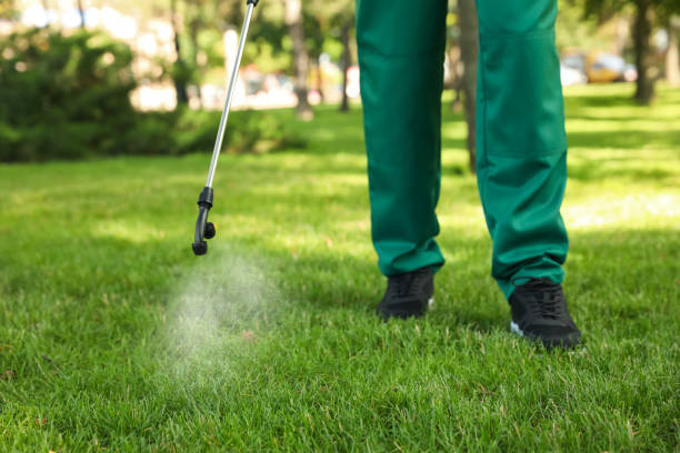 Best Best Pest Control Companies  in Dixon Lane Meadow Creek, CA